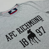 T-shirt AFC Richmond - Grey